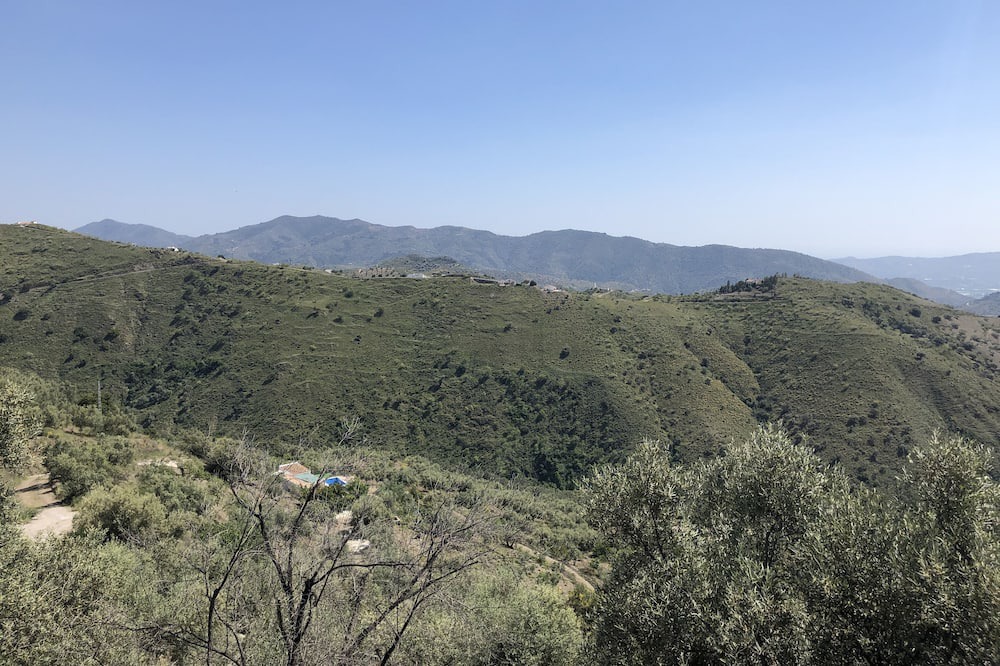 Photo of Others in Canillas de Aceituno