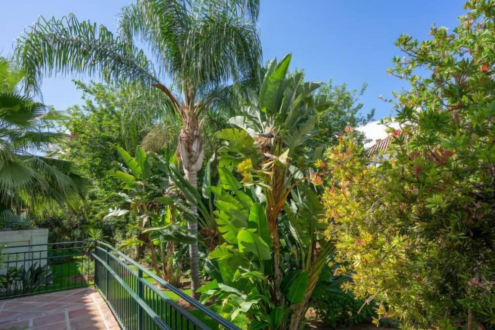 Photo of Outdoor in Benalmadena Costa