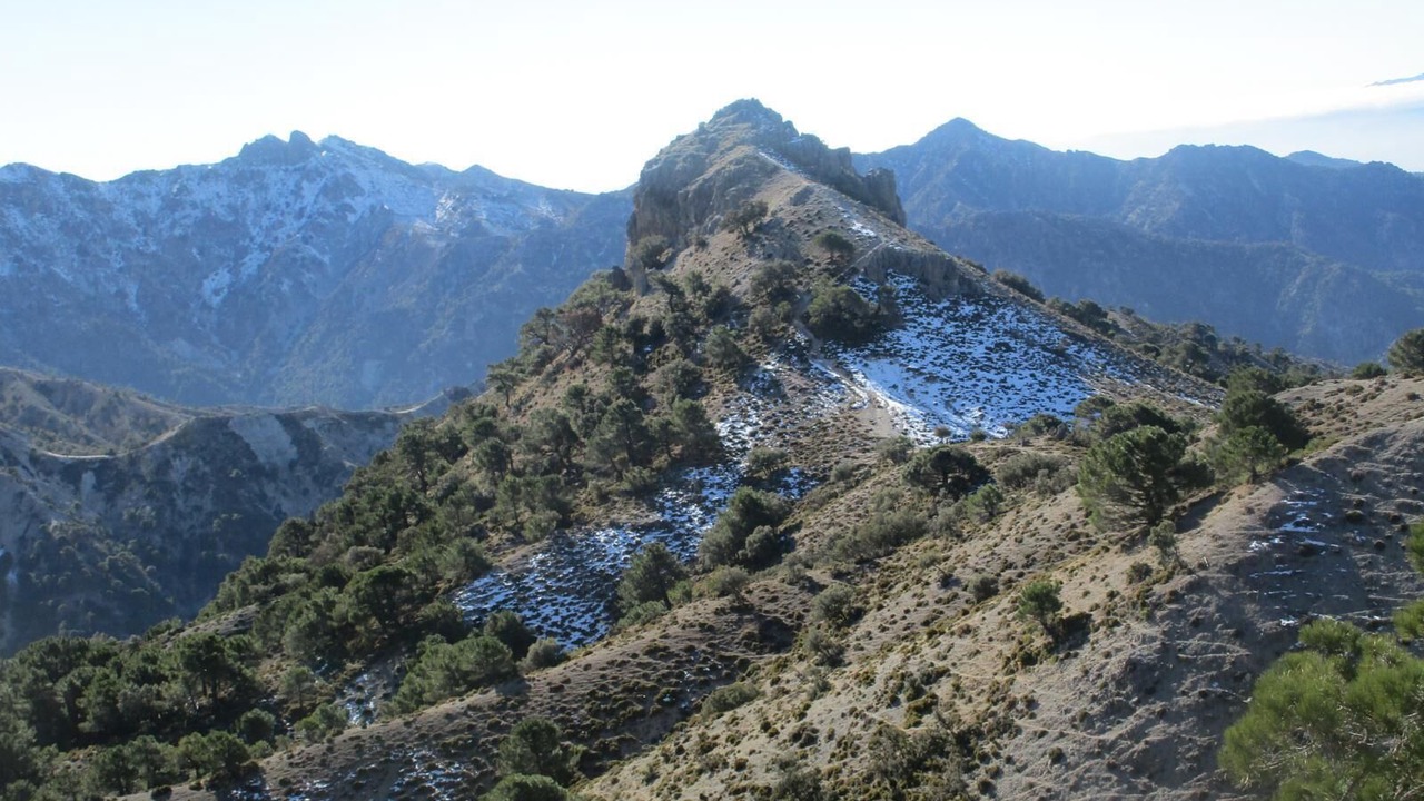 Photo of Outdoor in La Zubia