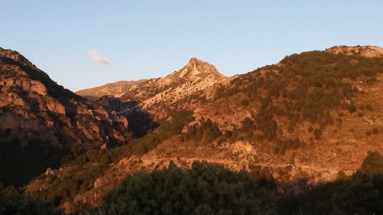 Photo of Outdoor in La Zubia