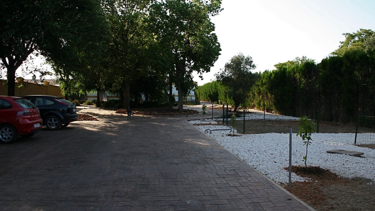 Photo of Outdoor in Almensilla