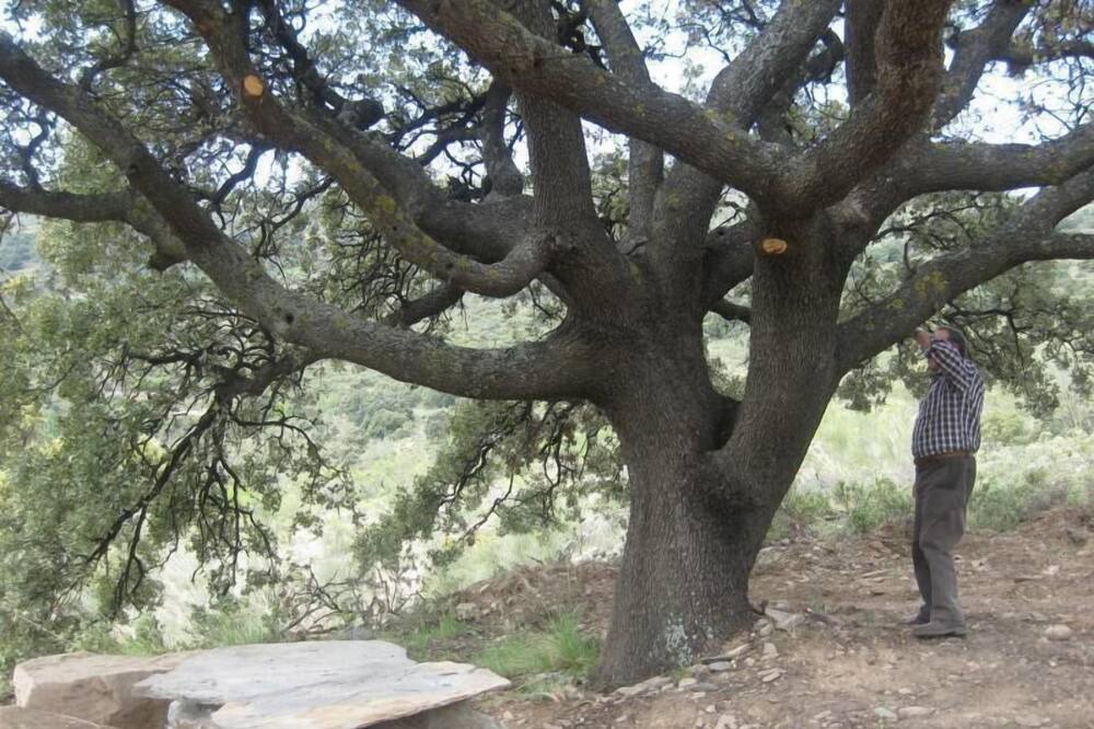 Photo of Outdoor in Laroya