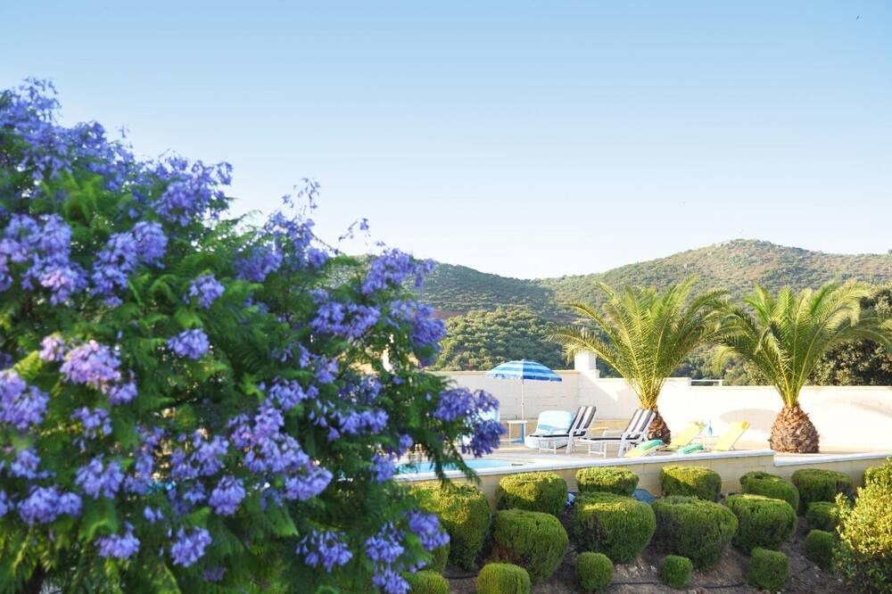Photo of Outdoor in Lora Del Rio
