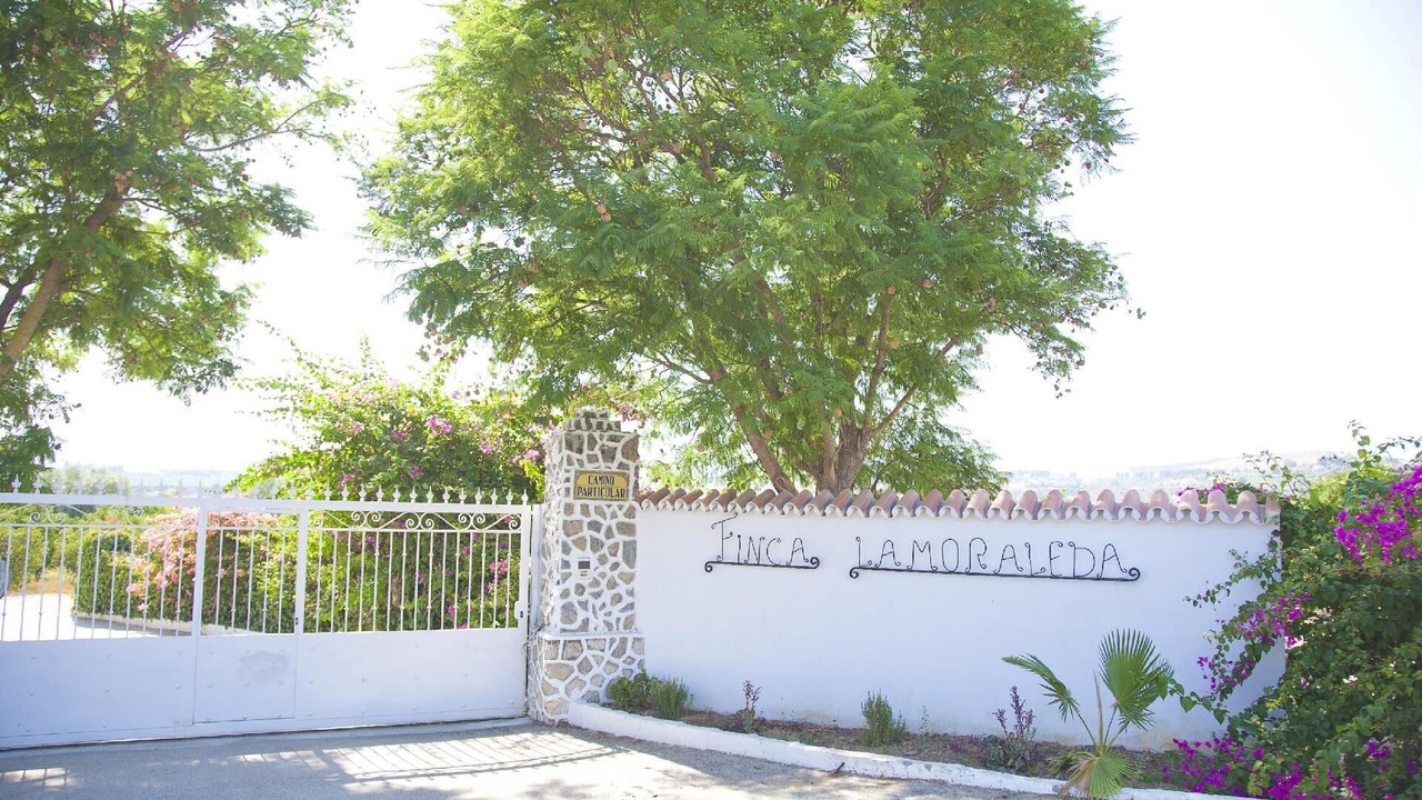 Photo of Outdoor in Pizarra