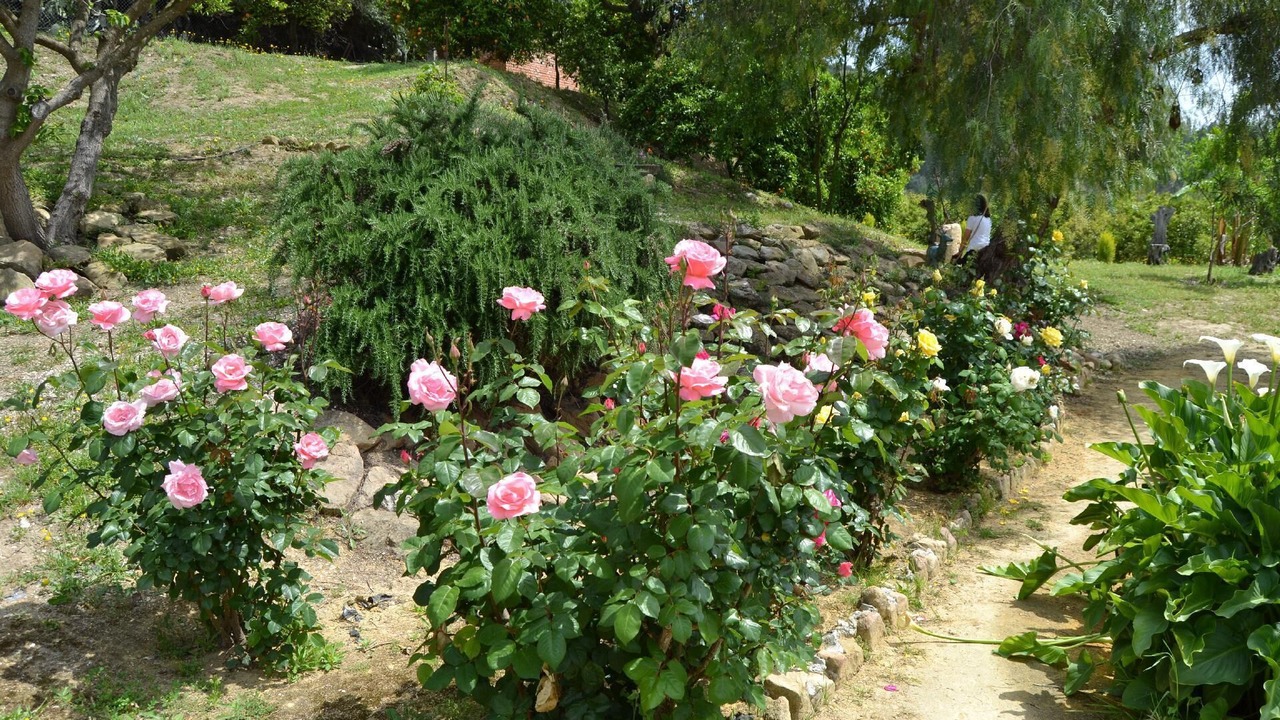 Photo of Outdoor in Pizarra
