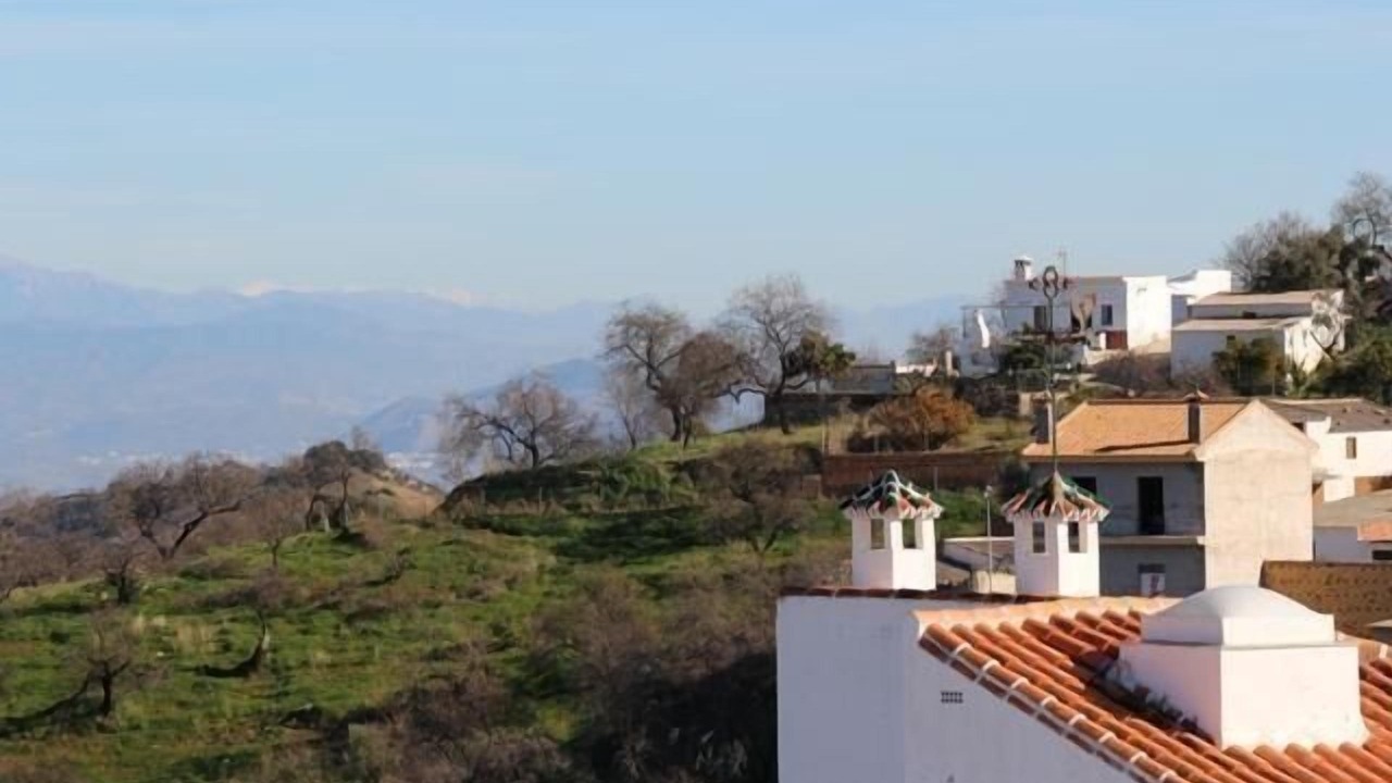 Photo of Others in Guaro