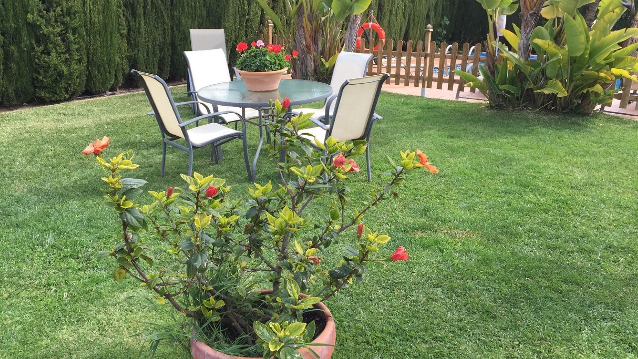 Photo of Outdoor in El Portil