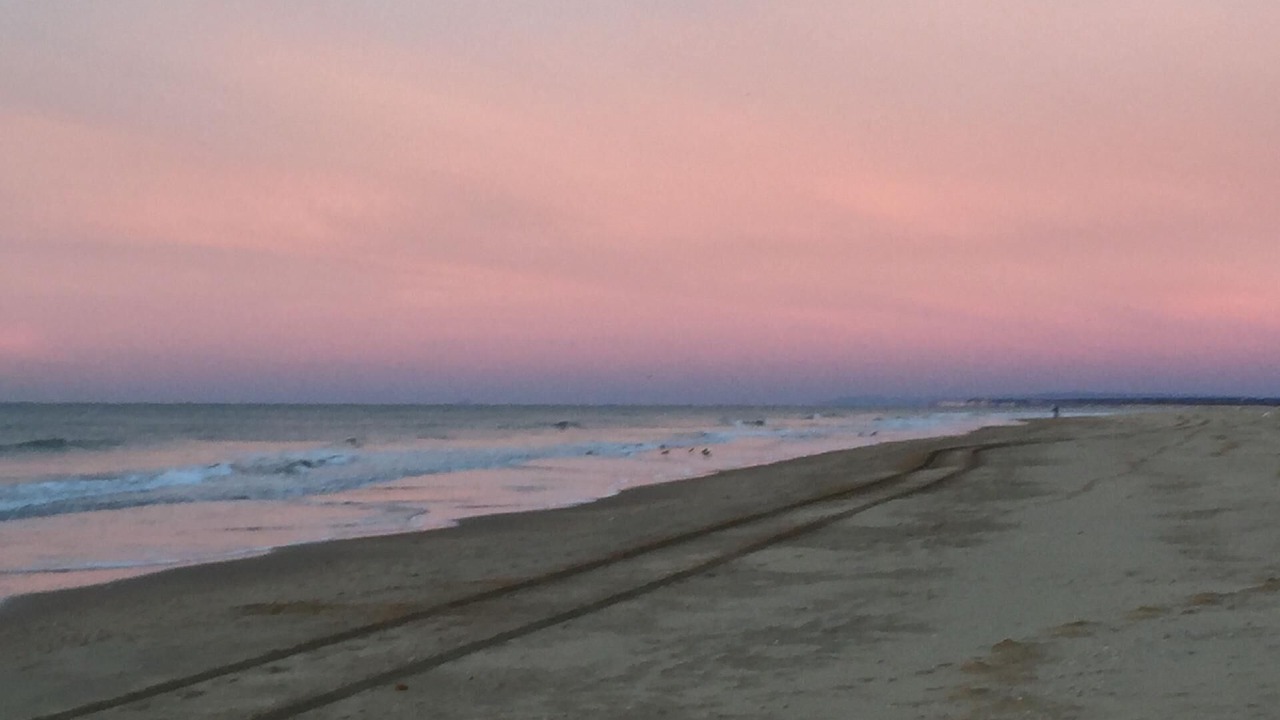 Photo of Others in El Portil