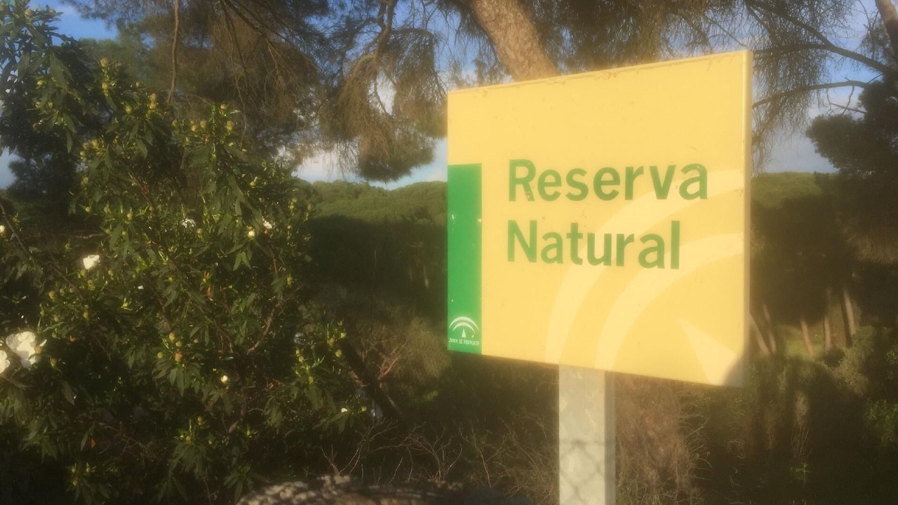 Photo of Outdoor in El Portil