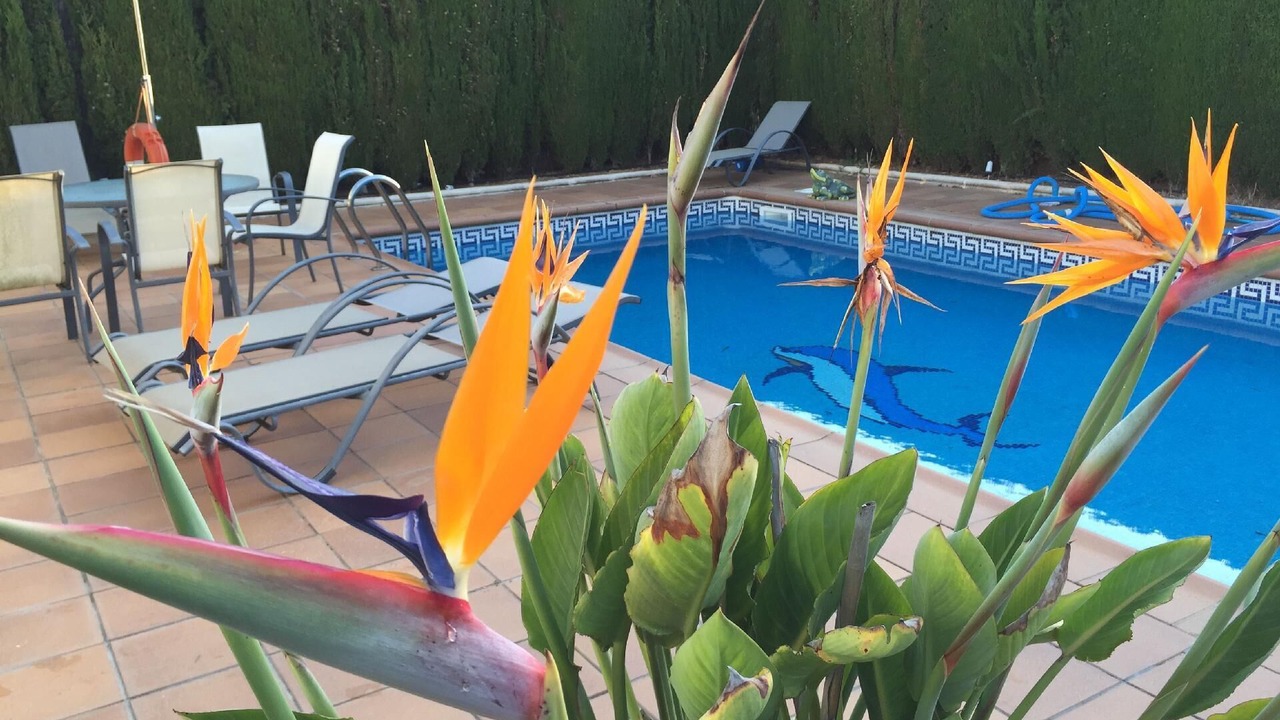 Photo of Outdoor in El Portil