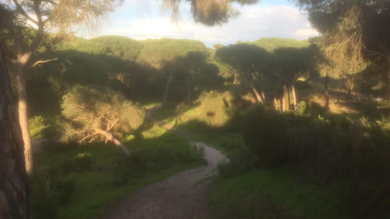 Photo of Others in El Portil
