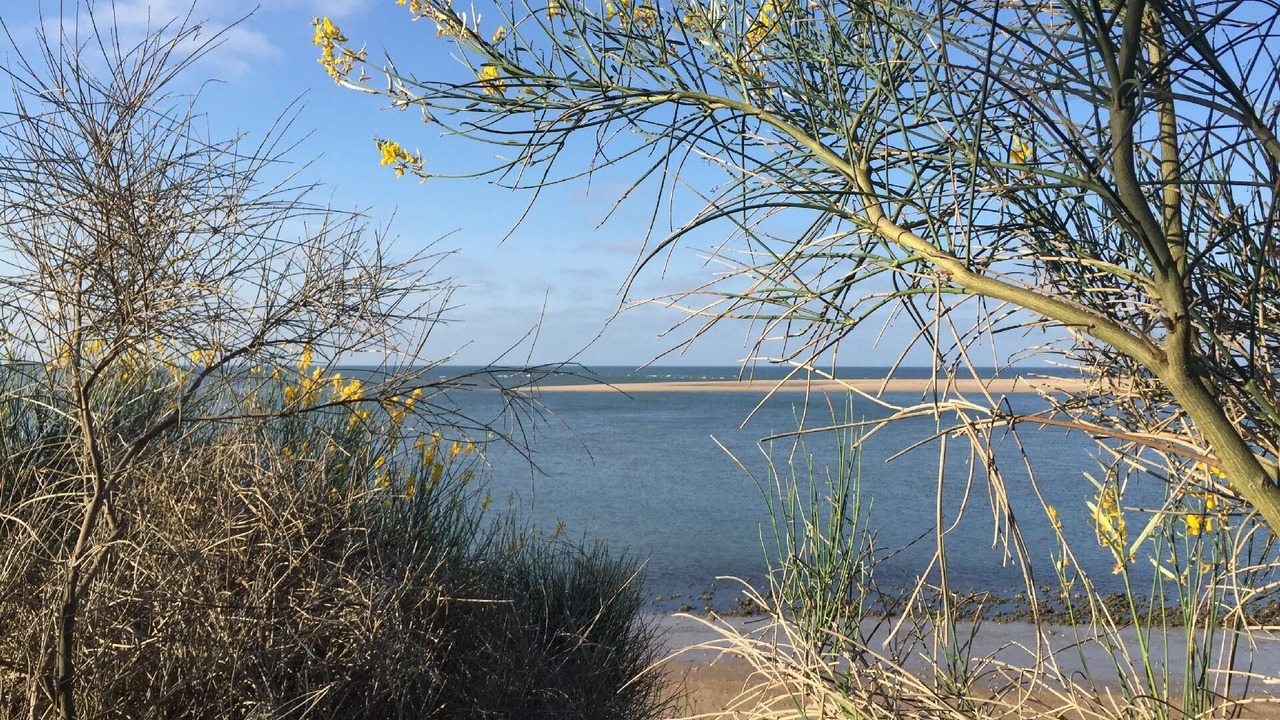Photo of Outdoor in El Portil