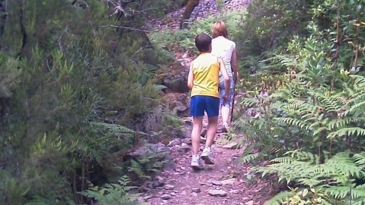 Photo of Others in Sotoserrano