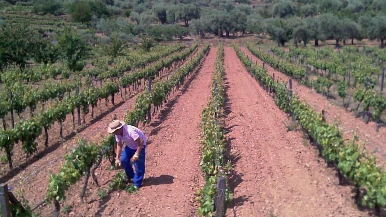 Photo of Outdoor in Sotoserrano