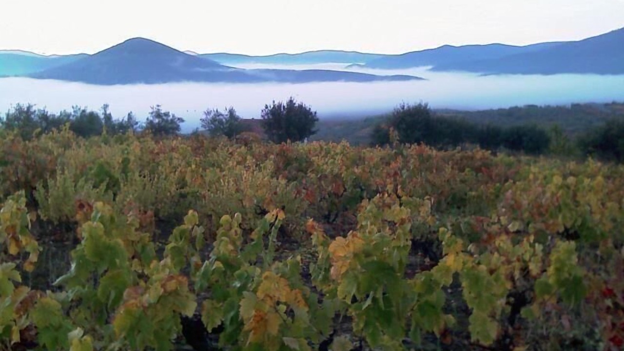 Photo of Outdoor in Sotoserrano