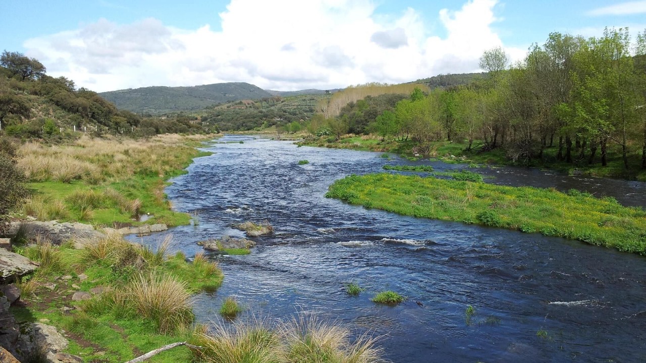 Photo of Others in Sotoserrano