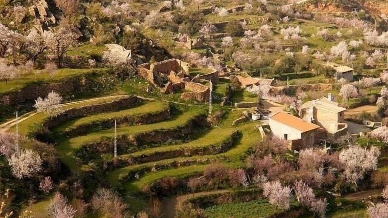 Photo of Outdoor in Laroya