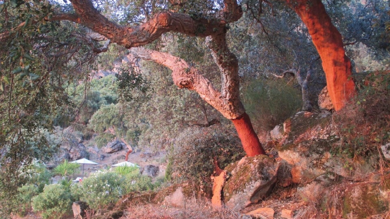 Photo of Outdoor in Montanchez