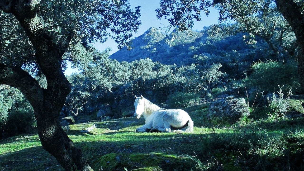 Photo of Outdoor in Montanchez