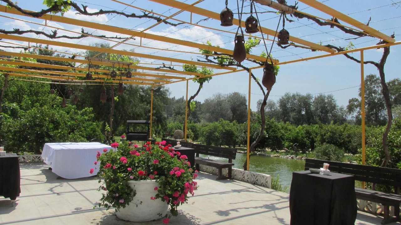Photo of Outdoor in Pizarra