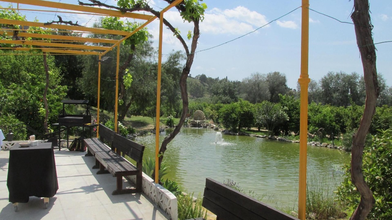 Photo of Outdoor in Pizarra