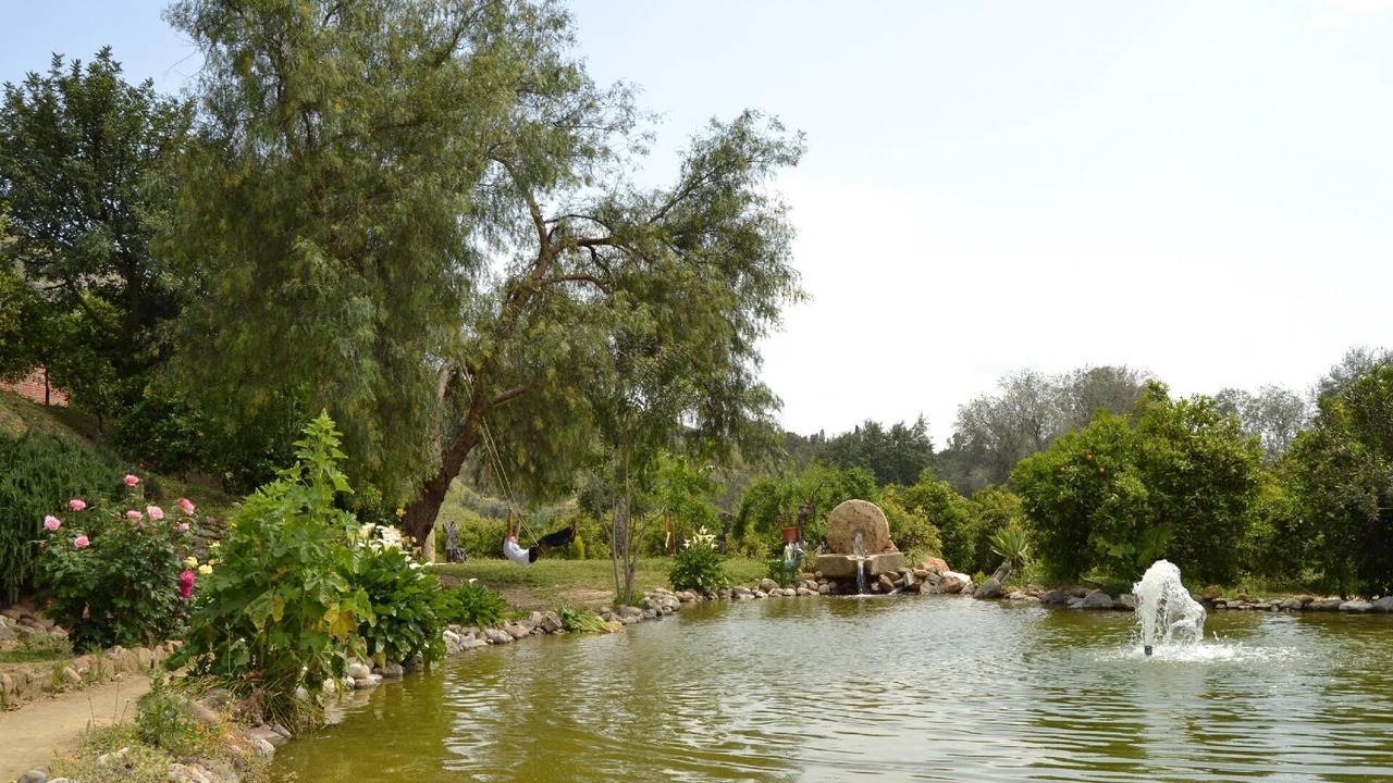 Photo of Outdoor in Pizarra