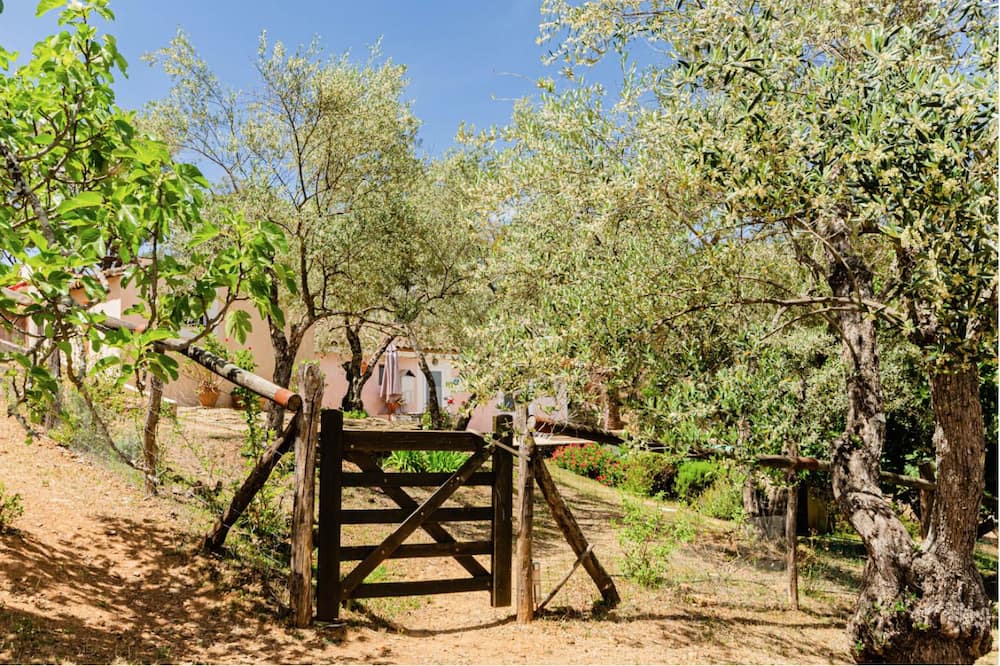 Photo of Outdoor in Fuenteheridos