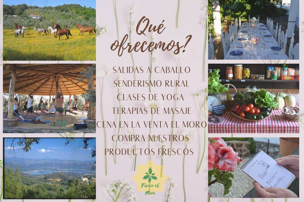 Photo of Outdoor in Fuenteheridos