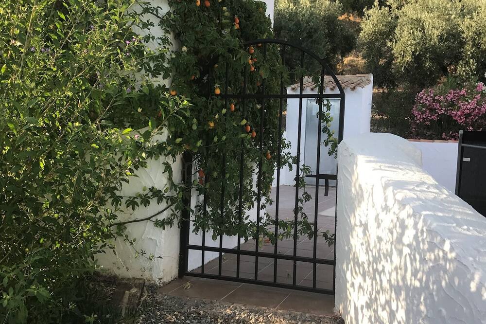 Photo of Others in Algarinejo