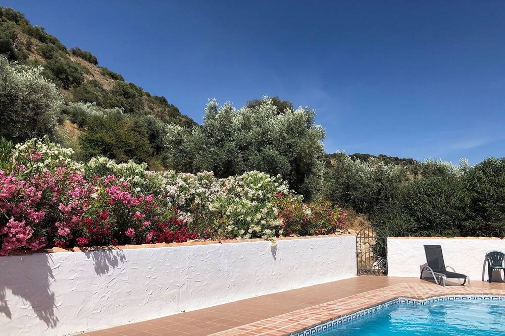 Photo of Outdoor in Algarinejo