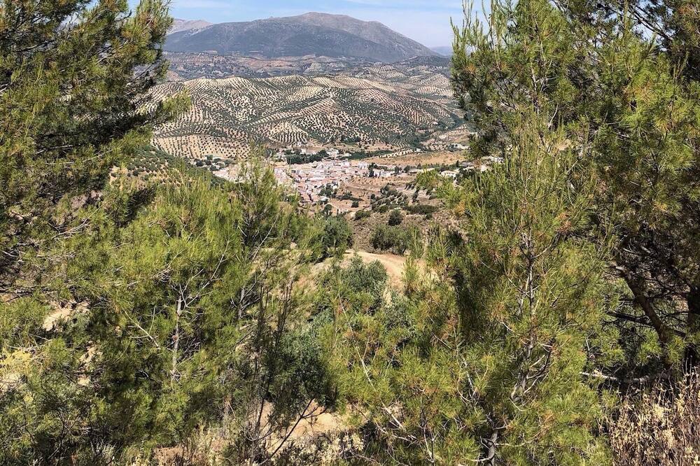Photo of Outdoor in Algarinejo