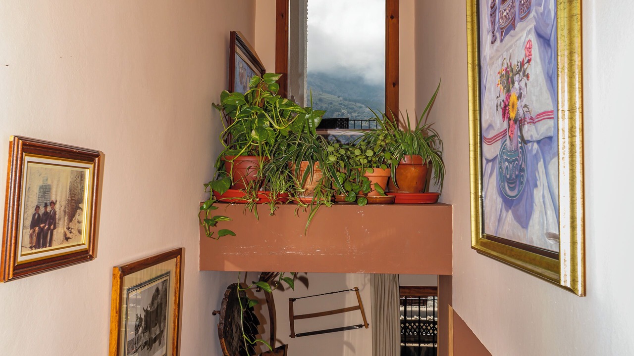 Photo of Others in Trevelez