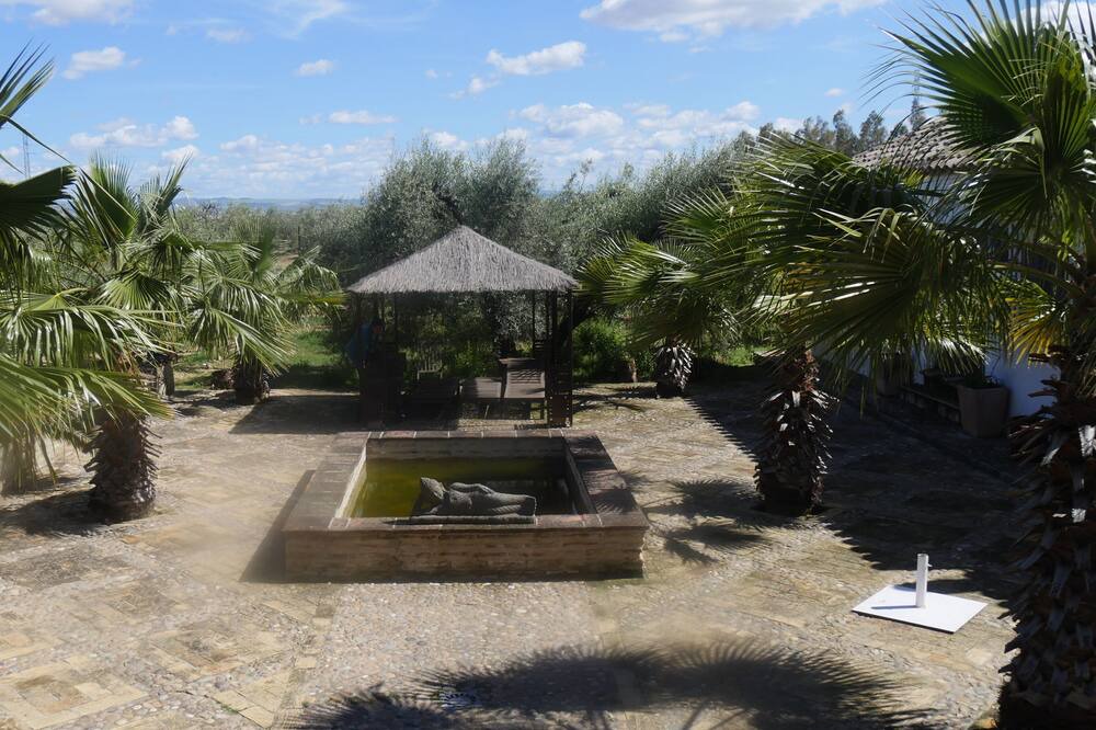 Photo of Outdoor in Marchena