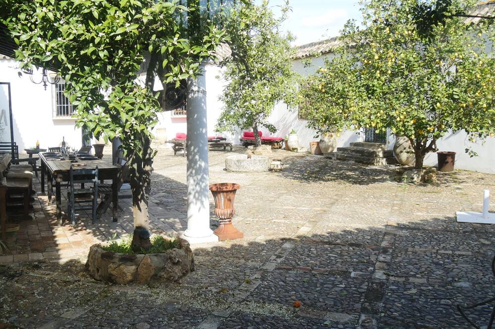 Photo of Outdoor in Marchena