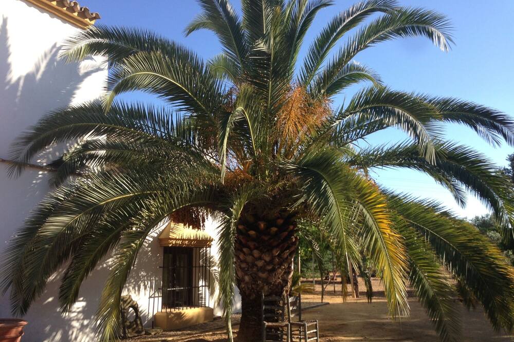 Photo of Outdoor in Marchena