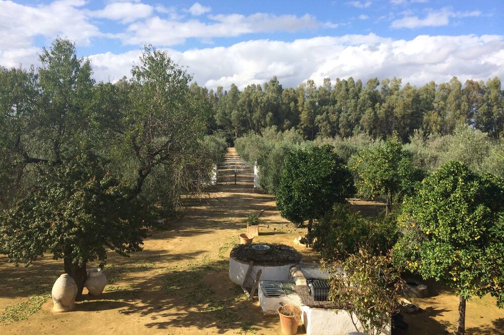 Photo of Outdoor in Marchena