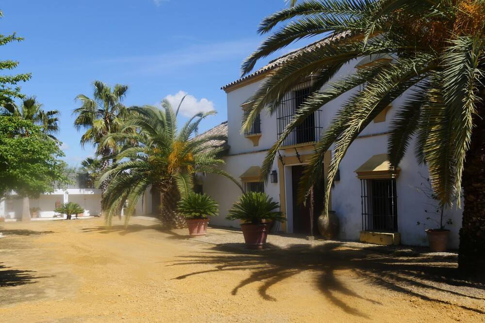 Photo of Outdoor in Marchena