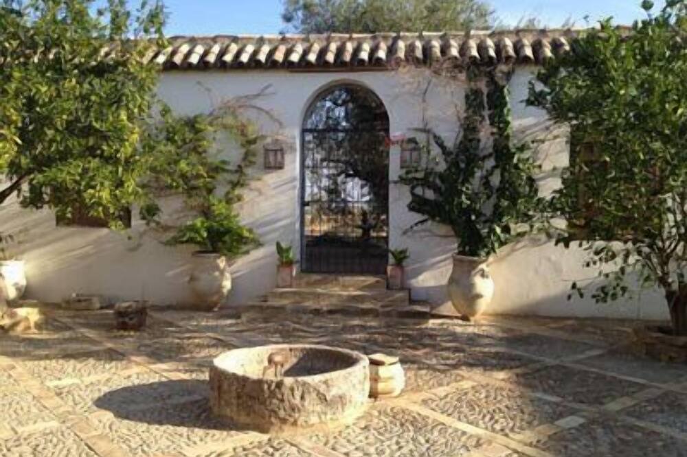 Photo of Outdoor in Marchena