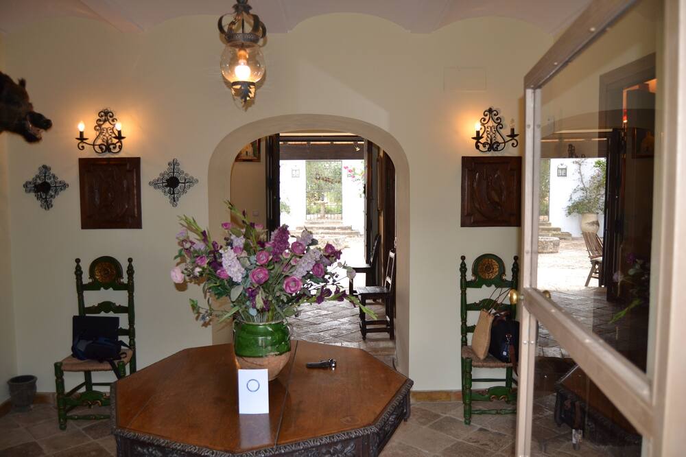 Photo of Livingroom in Marchena