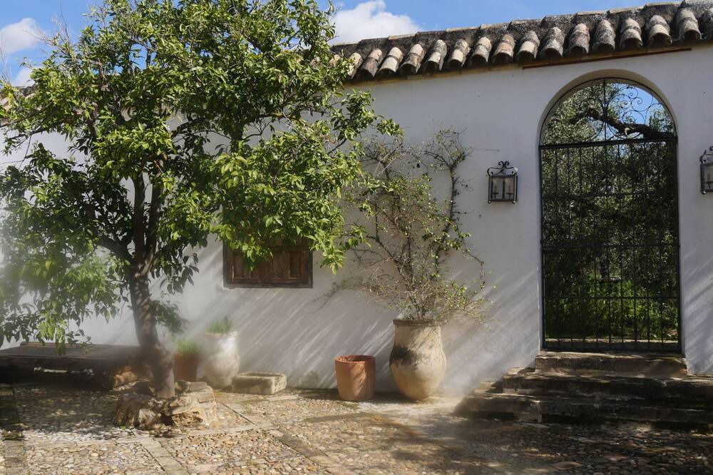 Photo of Outdoor in Marchena