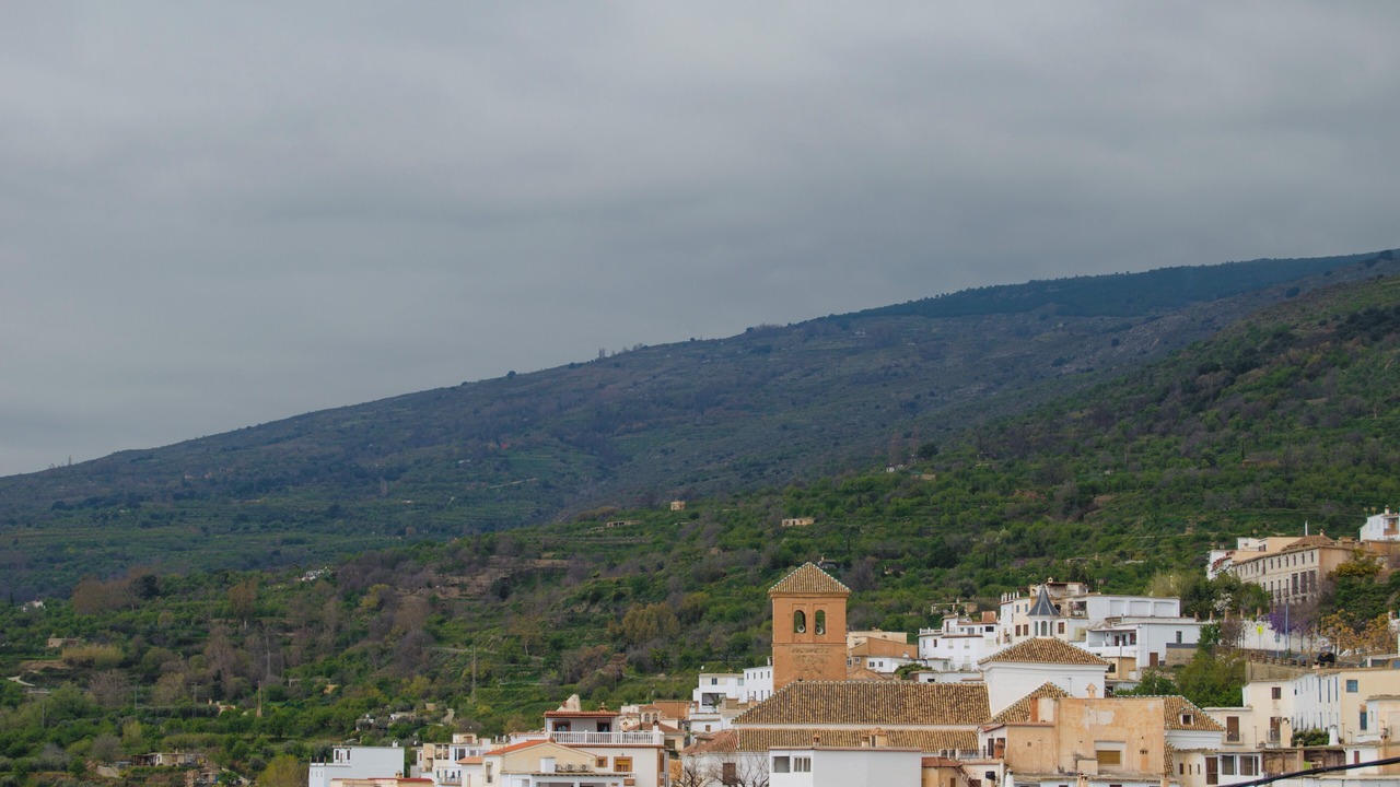 Photo of Others in Nechite