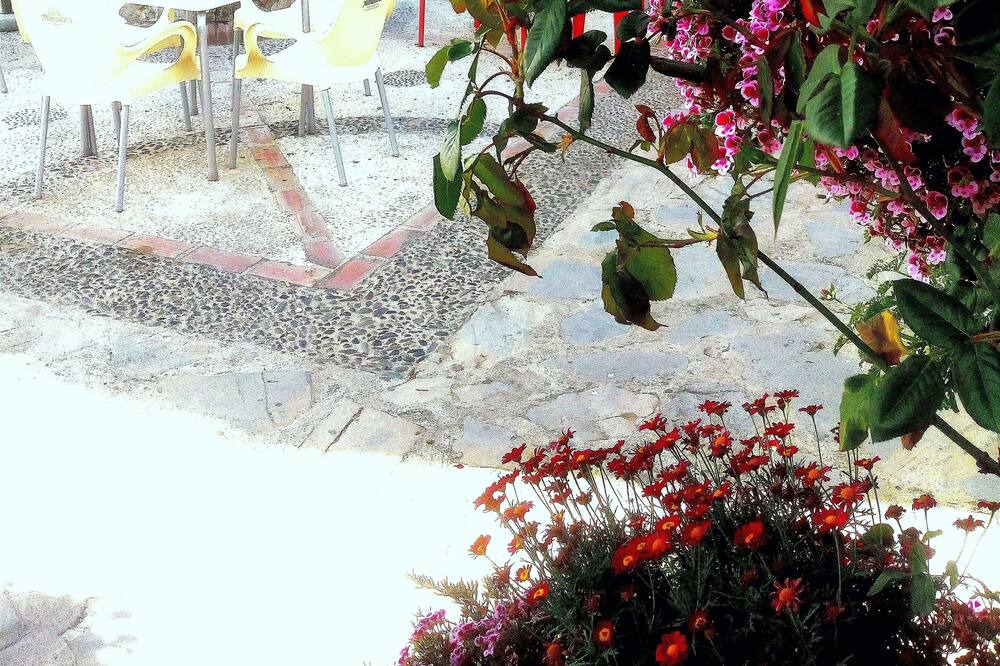 Photo of Outdoor in Pujerra