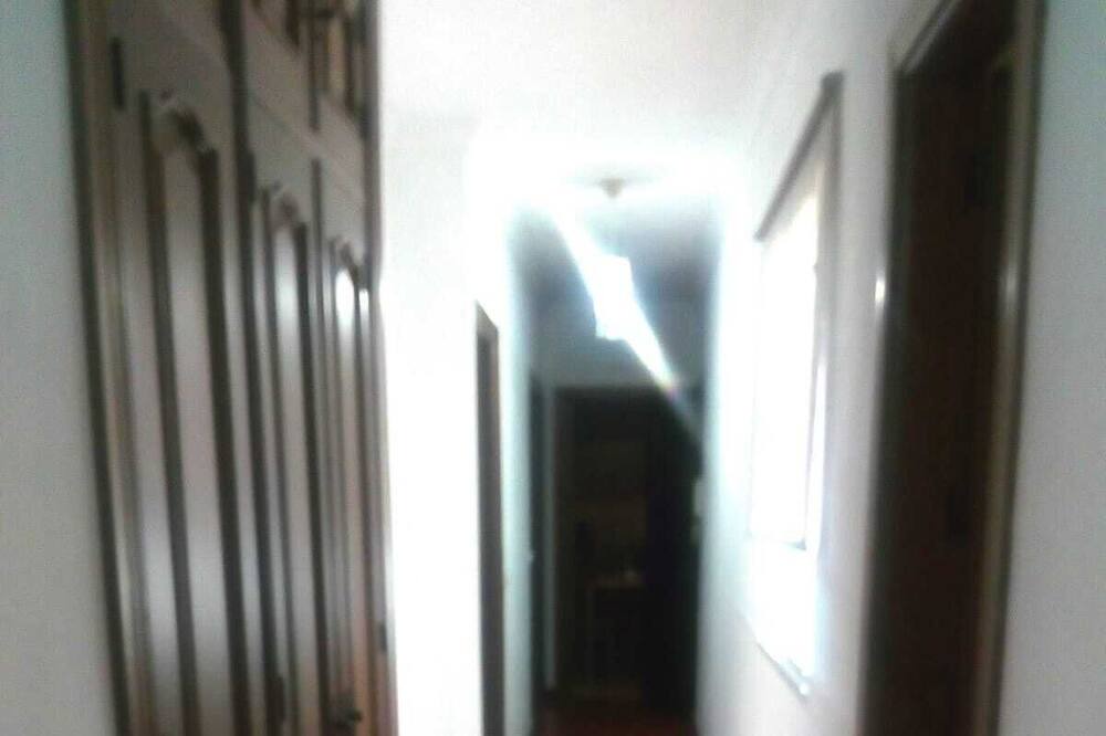 Photo of Others in Pujerra