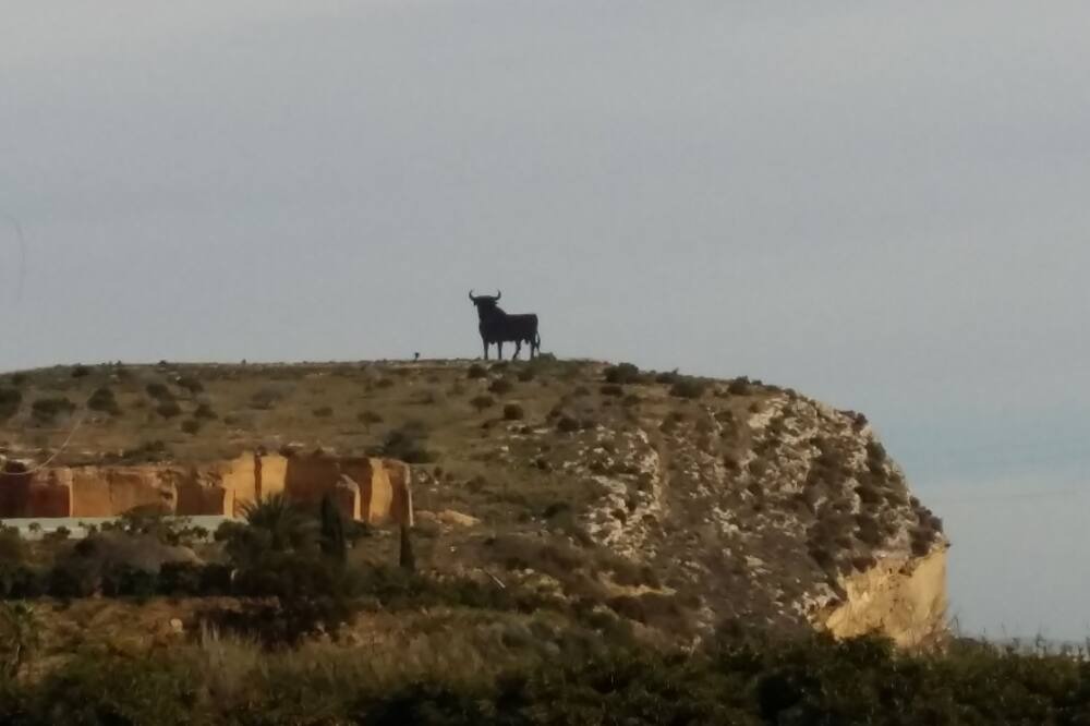Photo of Others in Almayate Bajo