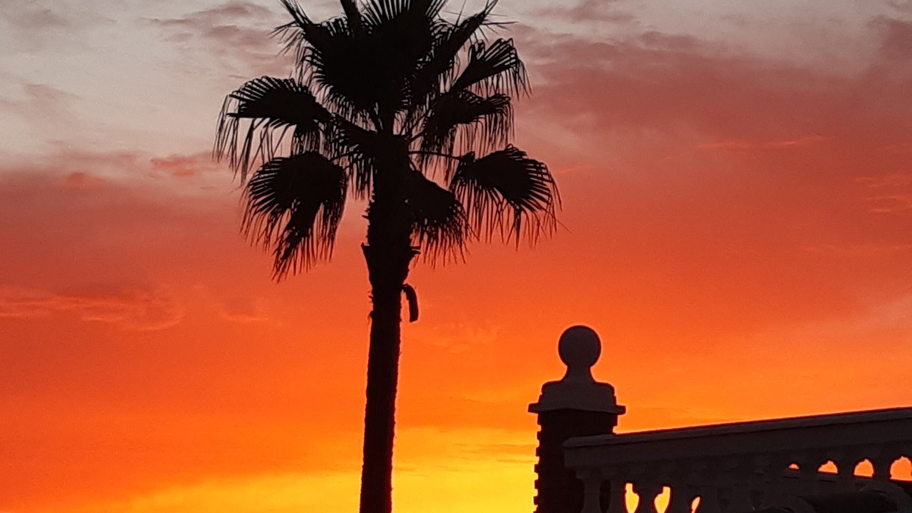 Photo of Others in Fuente del Conde
