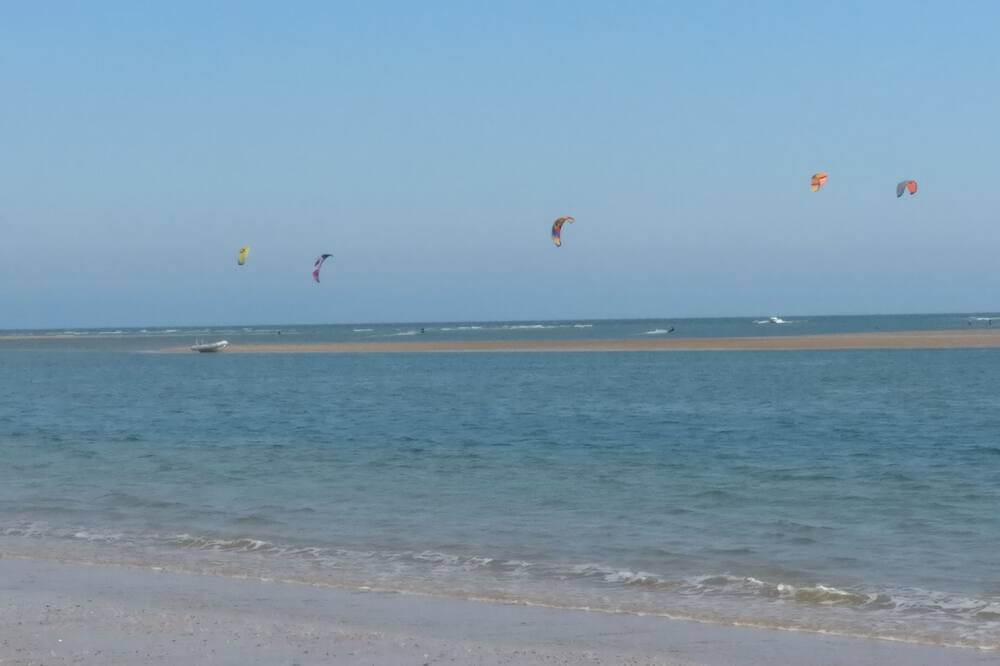 Photo of Others in Laguna de El Portil