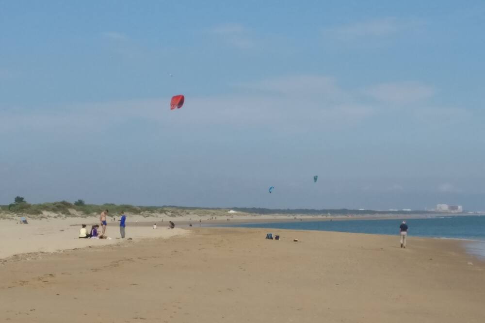 Photo of Others in Laguna de El Portil