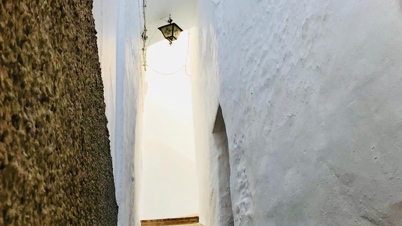 Photo of Others in Canillas de Albaida