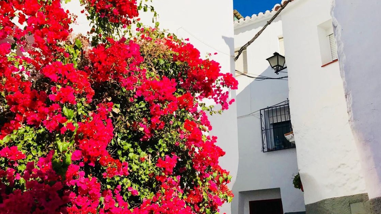 Photo of Outdoor in Canillas de Albaida