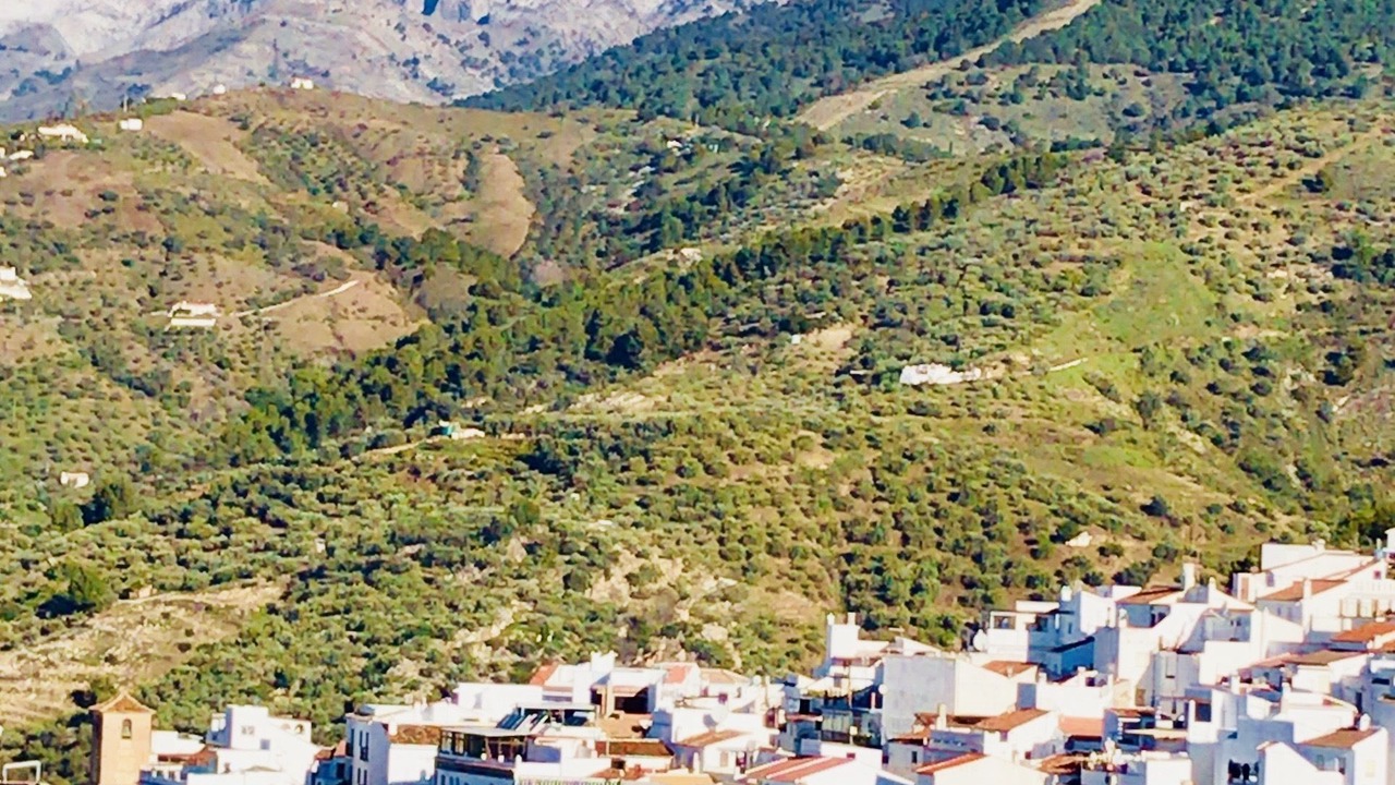 Photo of Others in Canillas de Albaida